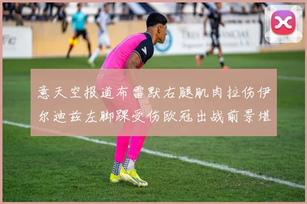 意天空报道布雷默右腿肌肉拉伤伊尔迪兹左脚踝受伤欧冠出战前景堪忧