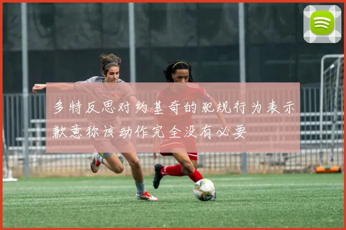 多特反思对约基奇的犯规行为表示歉意称该动作完全没有必要